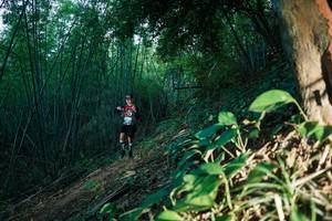 BIB: 
                            <button type="button" onclick="openModal(28124107)" class="btn btn-primary btn-sm float-right btn-popup" data-toggle="modal" data-target=".modal-high-quality">
                        <i class="fas fa-shopping-cart"></i> Add to Cart
                    </button>
                                            <button type="button" onclick="isThisMe(28124107, true)" class="btn btn-success btn-sm float-right btn-popup btn-isme hidden" data-toggle="tooltip" data-placement="bottom" title="นี่คือรูปของคุณใช่ไหม คลิกที่นี่เพื่อเอาเข้าอัลบั้ม">
                        <i class="fas fa-plus"></i> Add to album
                    </button>
                    <button type="button" onclick="isThisMe(28124107, false)" class="btn btn-warning btn-sm float-right btn-popup btn-isnotme hidden">
                        <i class="fas fa-ban"></i> Remove from album
                    </button>